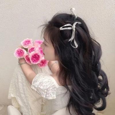 红楼梦第二部:黛玉葬花